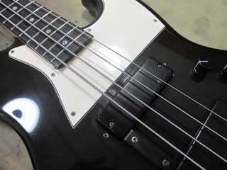 bass153.jpg