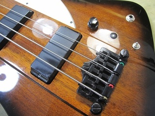 bass200.jpg