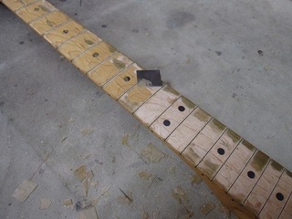 fret379.jpg