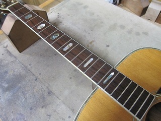 fret392.jpg