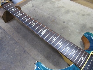 fret496.jpg