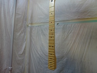neck45.jpg